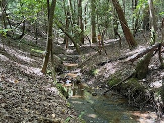 Crockett Rd, Haleyville, AL 35565