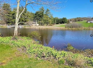 601 Briscoe Rd, Swan Lake, NY 12783