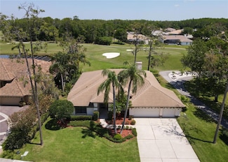 1311 Fallsmeade Ct, Oldsmar, FL 34677