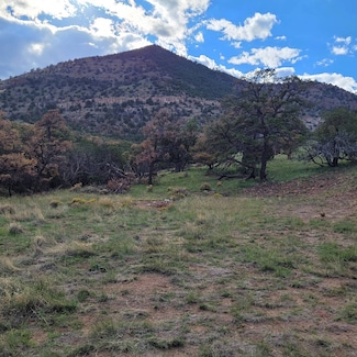 54 Tanglewood Cir Unit Lot2, Datil, NM 87821