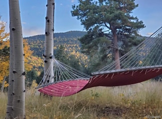2724 Yorktown Rd, Cripple Creek, CO 80813