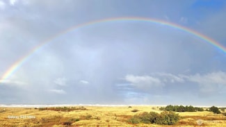 304 14th St NW Unit 109, Long Beach, WA 98631