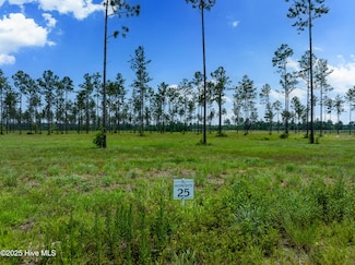 Lot 25 Cattle, Rocky Point, NC 28457