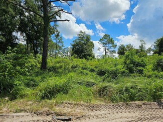 0 SE 104th Terrace Unit MFROM683828, Belleview, FL 34420