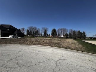 11730 Sandstone Ct, Frankfort, IL 60423