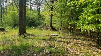 0 Ridge Rd Unit 77 4676758, Lyman, NH 03585