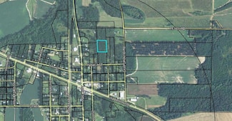 0 Azalea St, Morven, GA 31638