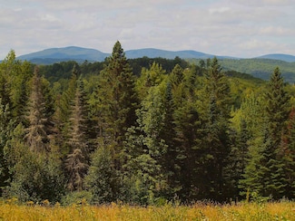 382 Hazlett Dr, Corinth, VT 05039