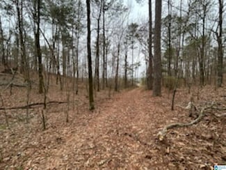 000 County Road 55, Wilsonville, AL 35186