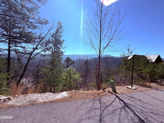 81 Parkside Ridge Way, Pigeon Forge, TN 37863