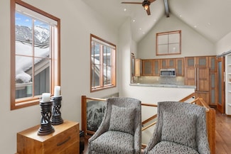 567 W Pacific Ave Unit B, Telluride, CO 81320