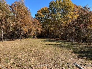 000 County Road P-309, Alton, MO 65606