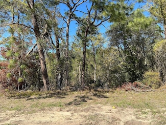 0 SW 159th St Unit MFROM700018, Ocala, FL 34473