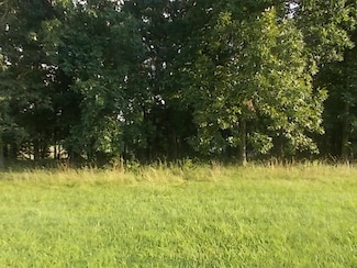 179 N Shore Dr, Pana, IL 62557