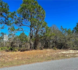11 Paw Ct S, Homosassa, FL 34446