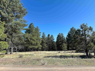 0 Valley Rd, Angel Fire, NM 87710