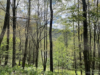 000 Peregrine Ln Unit Lot D, Bakersville, NC 28705