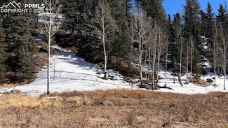 506 Arrowhead Rd, Florissant, CO 80816