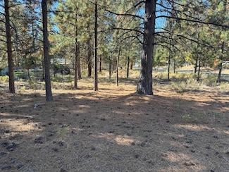 Unit 5-3 Lot 46 Brown Ct Unit 5-3, Weed, CA 96094