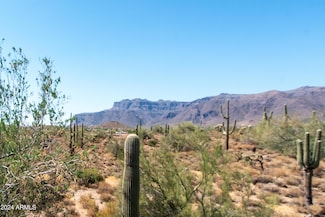 4782 S Pura Vida Way Unit 1, Gold Canyon, AZ 85118