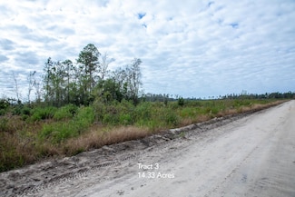 0 Buck Corbitt Rd, Manor, GA 31550