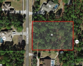 4579 N Butternut Ave, Pine Ridge, FL 34465