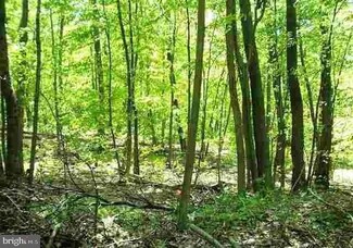 LOTS 1, 2, 3 Five Forks Ln, Fairfield, PA 17320