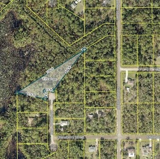 TBD Chinaberry Way, Eustis, FL 32736
