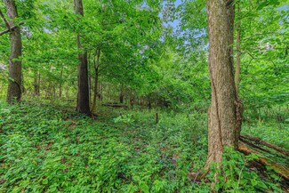 V/L Avenue C, Springfield, MI 49037