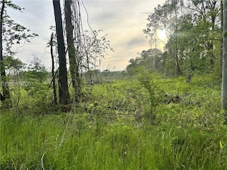 5160 Lowcountry Dr, Ridgeland, SC 29936