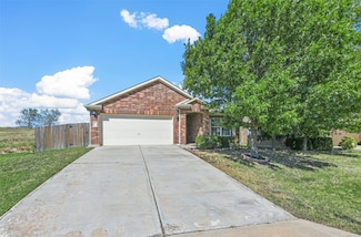 164 Dodge City Trail, Newark, TX 76071