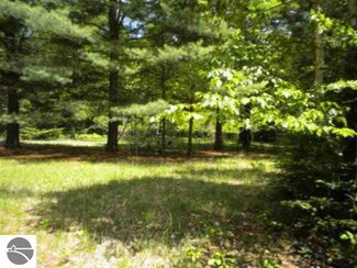 0 Morrison Rd Unit 1763546, Alger, MI 48610