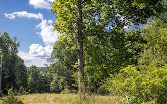 146 Ducks Nest Rd, Turtletown, TN 37391