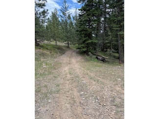0000 Greenhorn Rd, Greenhorn, OR 97877