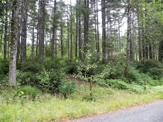 48 NE Collins Lake Dr, Tahuya, WA 98588