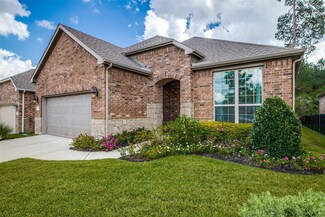 213 Percheron Dr, the Woodlands, TX 77382