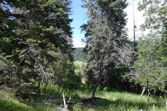 8 Elk Springs Unit LT 16 Elk Springs, Cloudcroft, NM 88317
