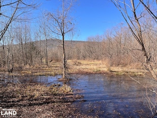 0 Co Rd 65 Unit 24094921, Swaim, AL 35745