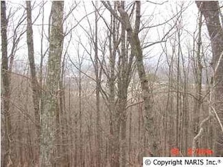 4210 Citadel Rock Rd, Fort Payne, AL 35967