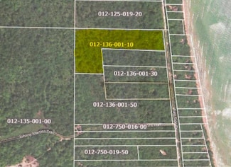 V/L E Side Dr, Peaine Township, MI 49782