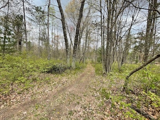 V/L Caberfae Hwy, Wellston, MI 49689