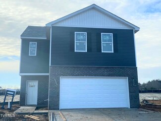 246 Artist Ave, Johnson City, TN 37615