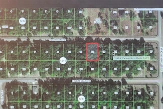 1746 E Carson Rd, Citrus Springs, FL 34434