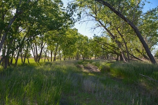 123 D Rd, Palco, KS 67657