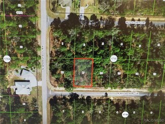 6581 W Whispering Dr, Pine Ridge, FL 34434