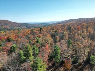 179 Bennett Rd, Napanoch, NY 12458