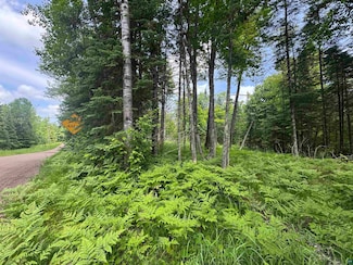 xxx Crystal Lake Rd, Barnum, MN 55707