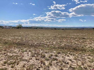 Lot 14 Fredonia Rd, Olathe, CO 81425