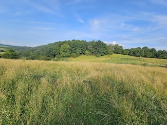 TBD Quiet Acres Ln, Glade Spring, VA 24340