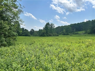 Lot 3 Oregon Rd, Gilbertsville, NY 13776